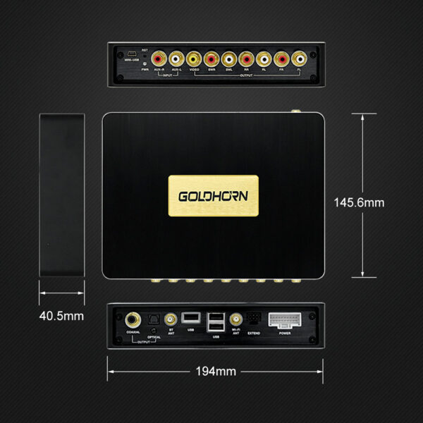 Goldhorn P2 PRO DSD player transport Hi-Fi
