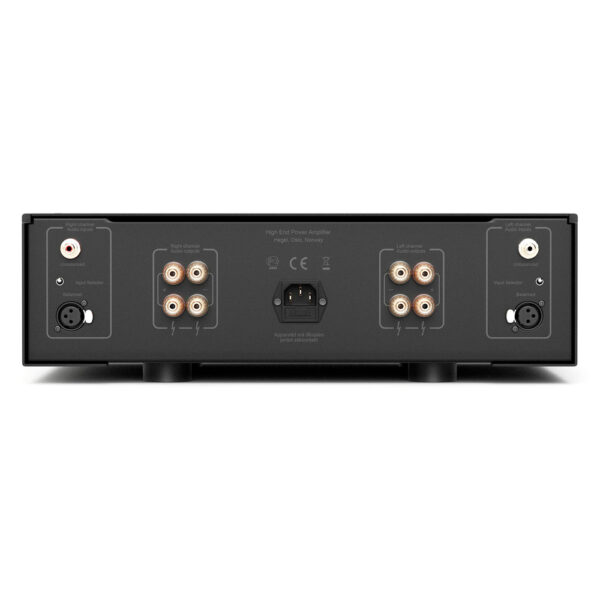 Hegel H20 vista posteriore con ingressi XLR e RCA