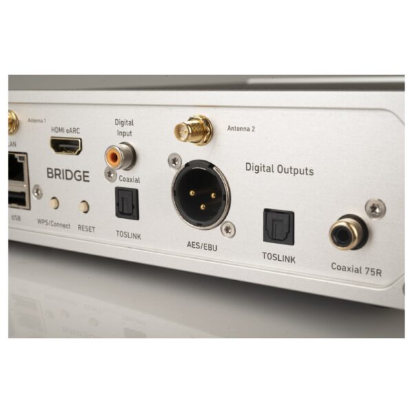 Uscite digitali AES/EBU, ottica e coassiale del Lindemann Woodnote BRIDGE
