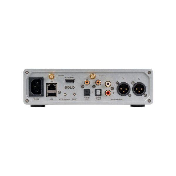 Pannello posteriore del Lindemann Woodnote SOLO con HDMI, USB, ingressi digitali e uscite RCA e XLR