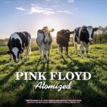 Vinile da collezione Pink Floyd Atomized