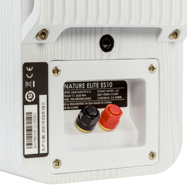 Diffusori surround Polk Audio ES10 compatti hi-fi coppia