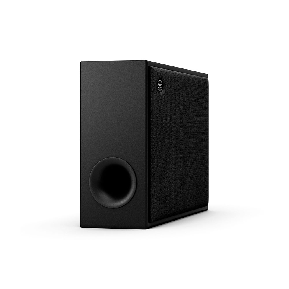 SW-X100A-Black