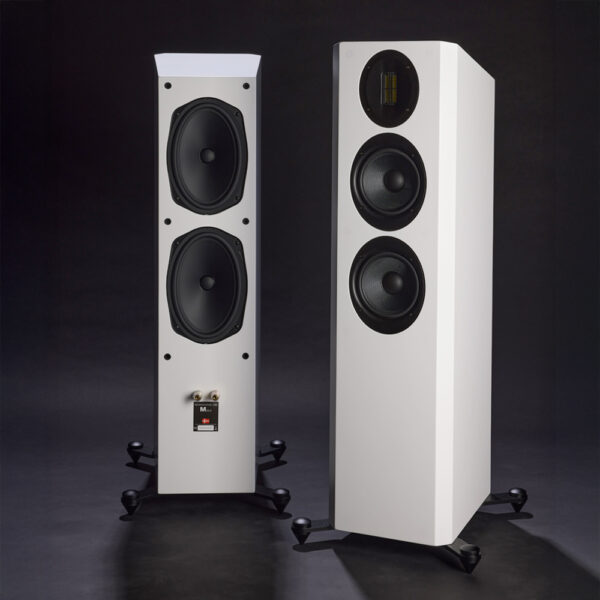 Diffusori da pavimento Scansonic M20.2 hi-fi compatti ed eleganti coppia