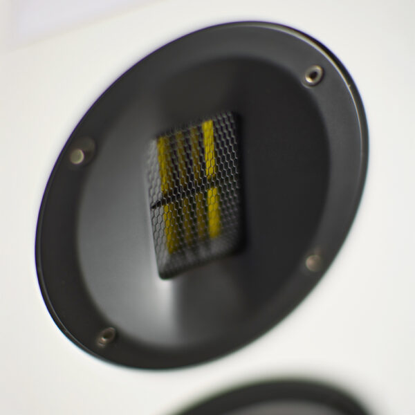 Diffusori da pavimento Scansonic M20.2 hi-fi compatti ed eleganti coppia