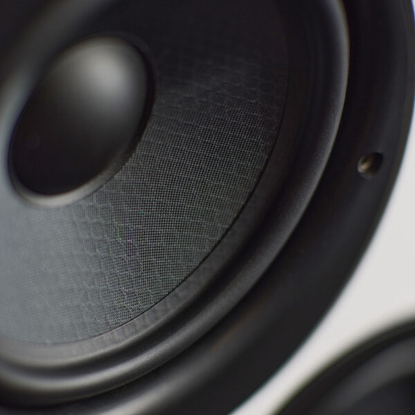 Diffusori da scaffale Scansonic M15.2 coppia high end