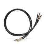 Shunyata Gamma Phono cavo di segnale phono ad alte prestazioni