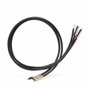 Shunyata Gamma Phono cavo di segnale phono ad alte prestazioni
