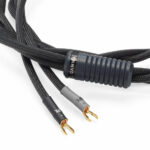 Shunyata Gamma Speaker