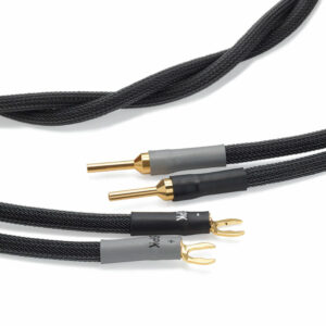 Shunyata Gamma Speaker