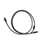 Shunyata Gamma USB cavo USB audio