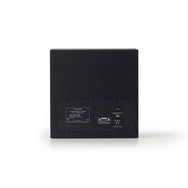 Tangent Spectrum Square vista posteriore con ingressi AUX USB e alimentazione