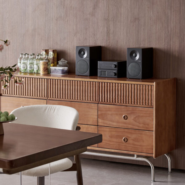 Sintonizzatore Tangent Tuner III FM DAB hi fi compatto radio