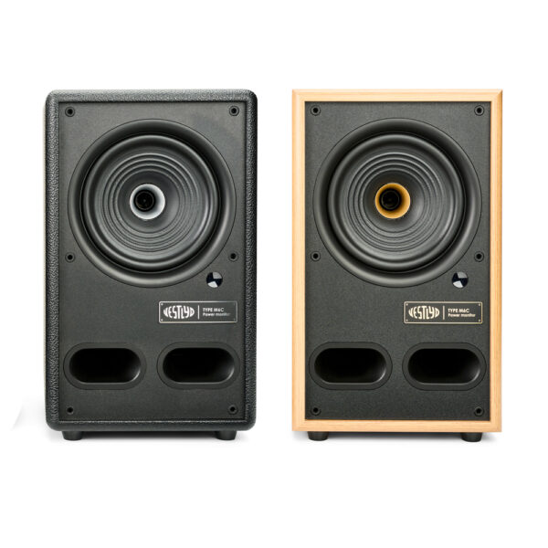 Vestlyd M6C Active diffusori coassiali amplificati