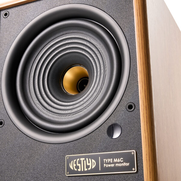 Vestlyd M6C Active diffusori coassiali amplificati