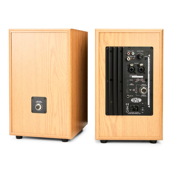Vestlyd M6C Active diffusori coassiali amplificati