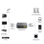 Possibili connessioni con WiiM Amp Pro