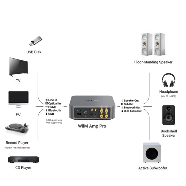 Possibili connessioni con WiiM Amp Pro