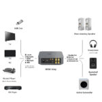 Connessioni possibili con WiiM Amp