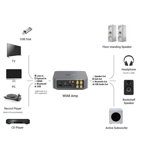 Connessioni possibili con WiiM Amp