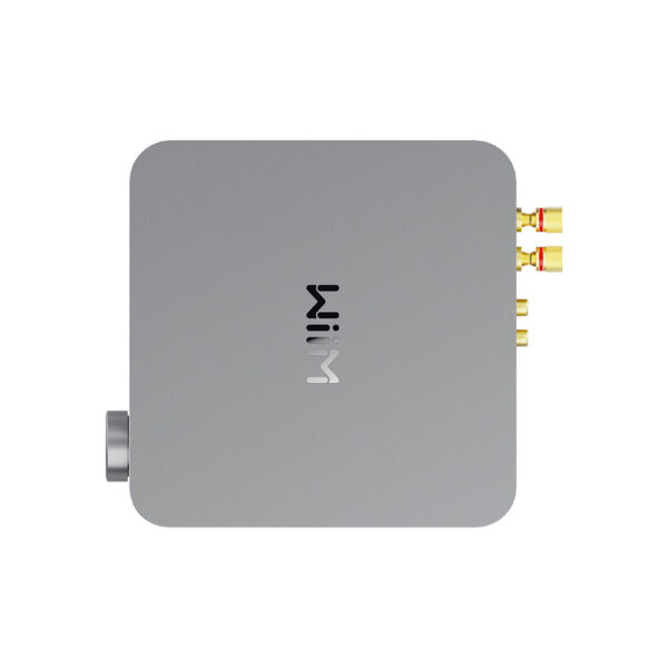 Connessioni WiiM Amp con terminali diffusori