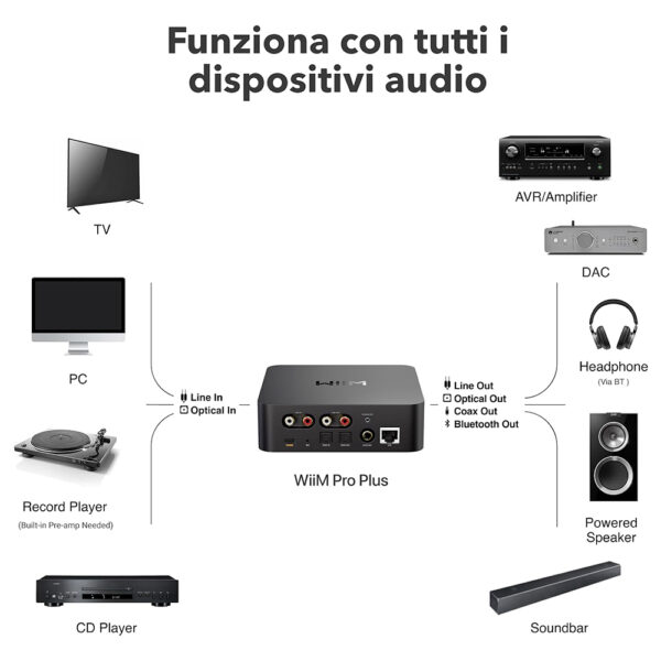 Connessioni possibili con WiiM Pro Plus