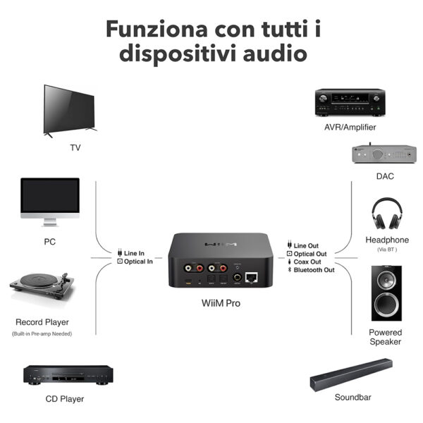 Connessioni possibili con WiiM Pro