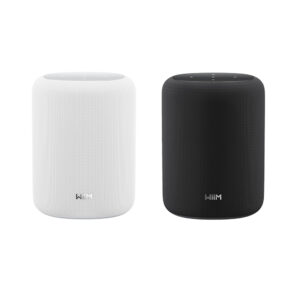 WiiM Sound Lite speaker smart Hi-Res 100 watt