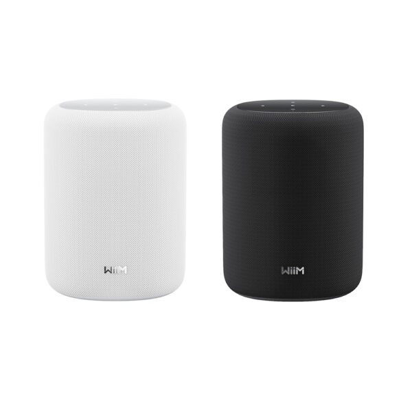 WiiM Sound Lite speaker smart Hi-Res 100 watt