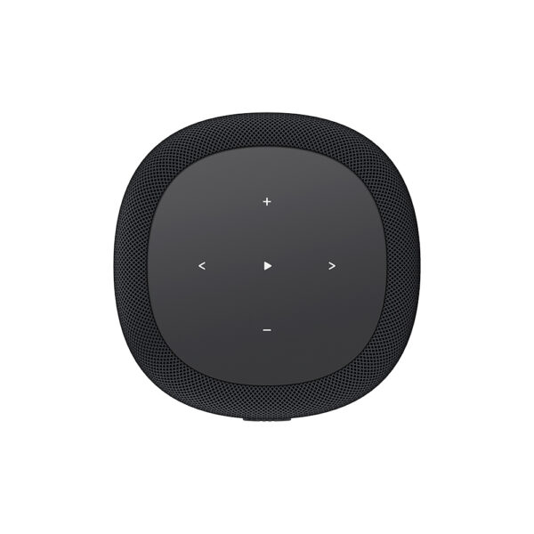WiiM Sound Lite controlli touch sul pannello superiore