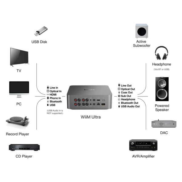 Connessioni possibili con WiiM Ultra