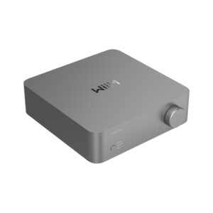 WiiM Vibelink Amp amplificatore stereo 2x100 watt con DAC ESS