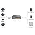 Connessioni possibili con WiiM Vibelink Amp