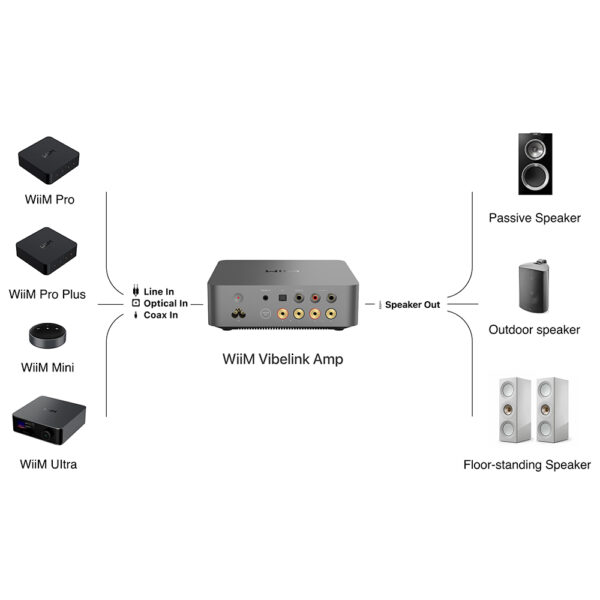 Connessioni possibili con WiiM Vibelink Amp