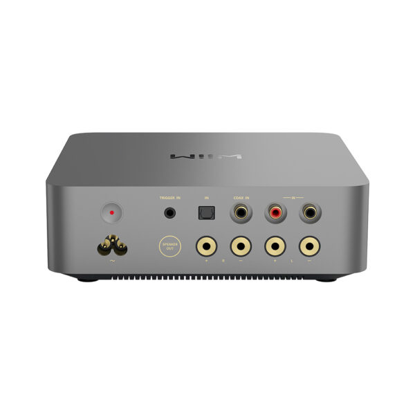 WiiM Vibelink Amp vista posteriore con RCA ottico e coassiale