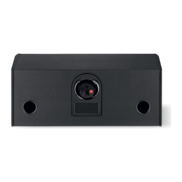 Retro del Focal Aria Evo X Center con i due condotti reflex e i morsetti per i cavi