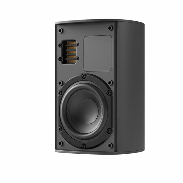 Piega Ace 30 Wireless