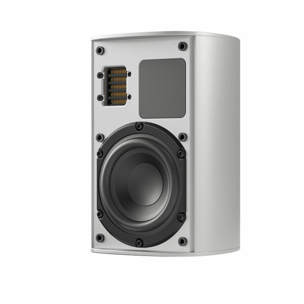 Piega Ace 30 Wireless